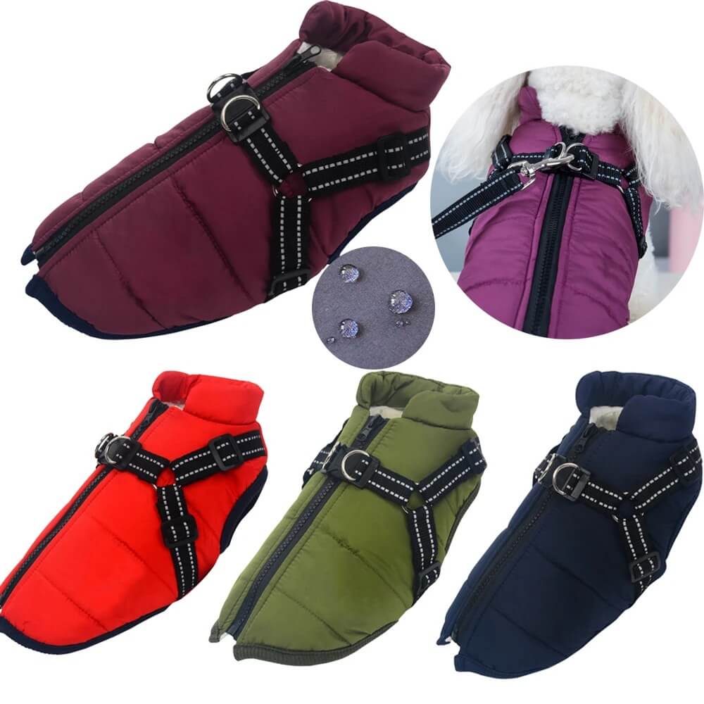 Dog Winter Coat – Keep Your Pup Warm in Style - Image 2