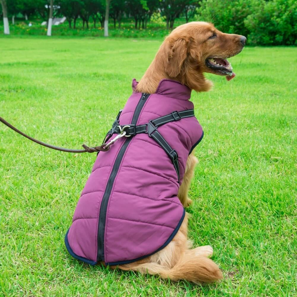 DOG WINTER COAT