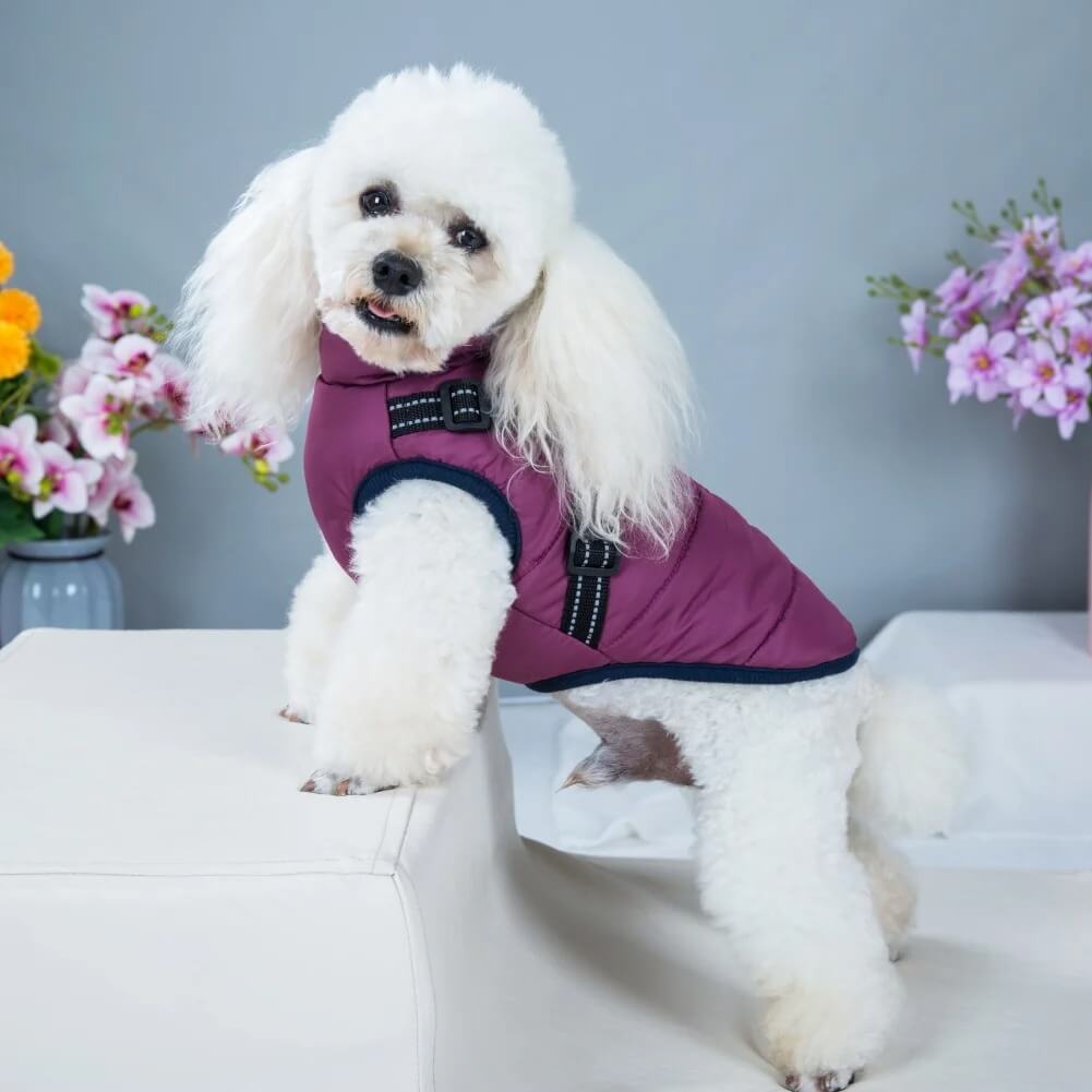 Dog Winter Coat – Keep Your Pup Warm in Style - Image 4